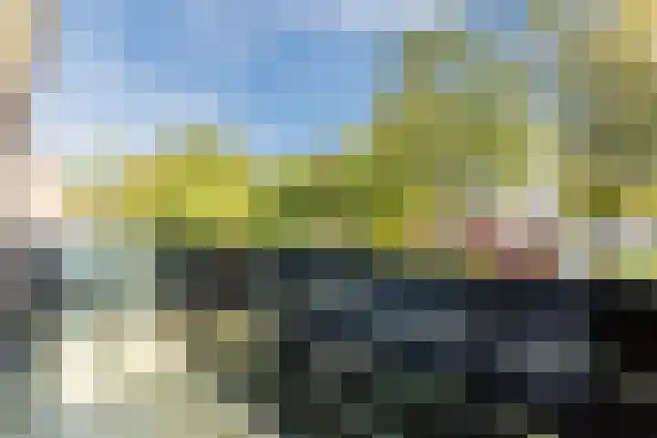 Bizetlaan 11 Nijkerk thumbnail 31