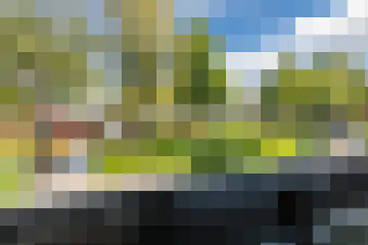 Bizetlaan 11 Nijkerk thumbnail 32