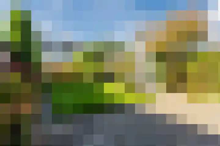 Bizetlaan 11 Nijkerk thumbnail 34