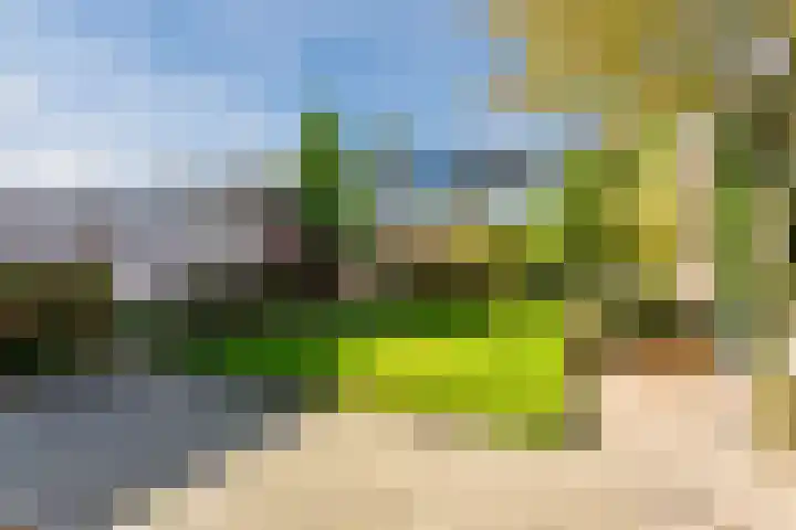 Bizetlaan 11 Nijkerk thumbnail 35