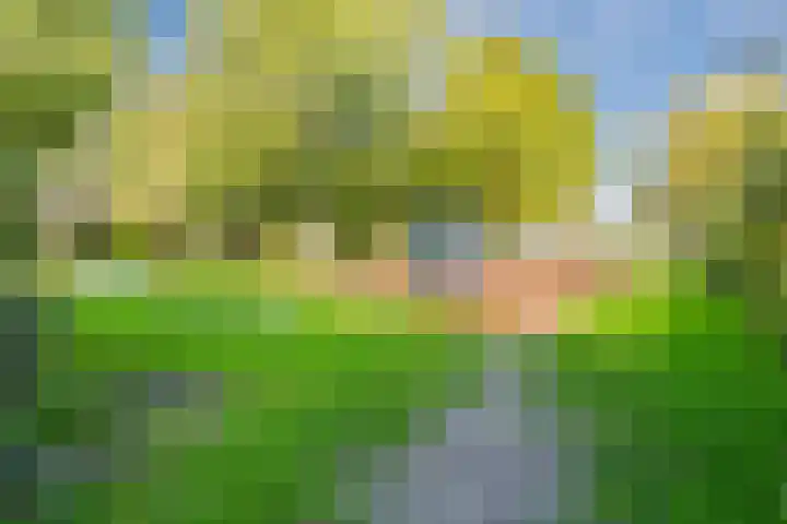 Bizetlaan 11 Nijkerk thumbnail 37