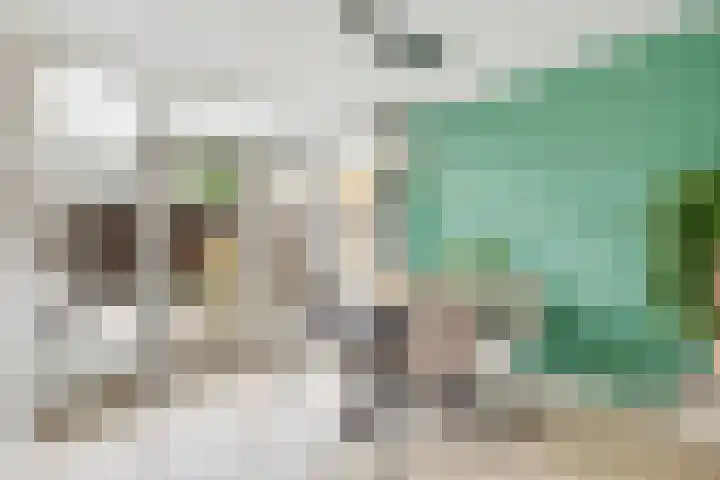 Bizetlaan 13 Nijkerk thumbnail 10