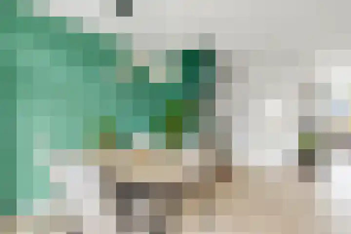 Bizetlaan 13 Nijkerk thumbnail 11