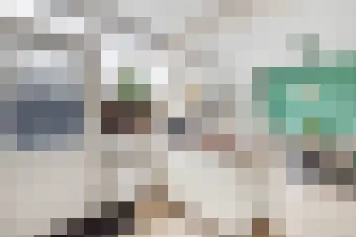 Bizetlaan 13 Nijkerk thumbnail 12
