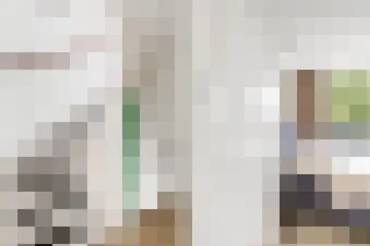 Bizetlaan 13 Nijkerk thumbnail 14
