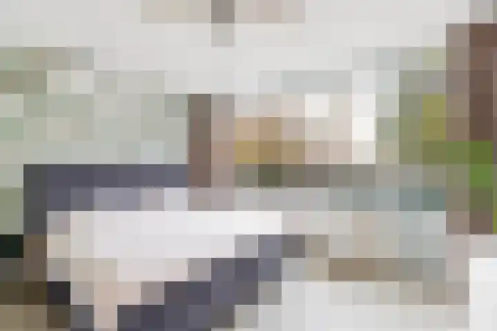 Bizetlaan 13 Nijkerk thumbnail 15