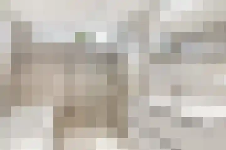 Bizetlaan 13 Nijkerk thumbnail 18