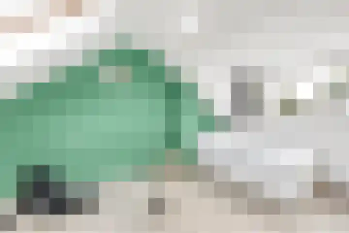 Bizetlaan 13 Nijkerk thumbnail 20