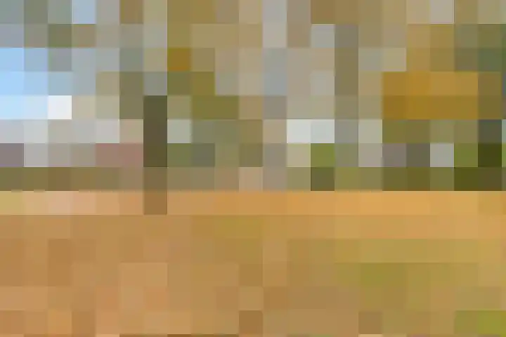 Bizetlaan 13 Nijkerk thumbnail 26