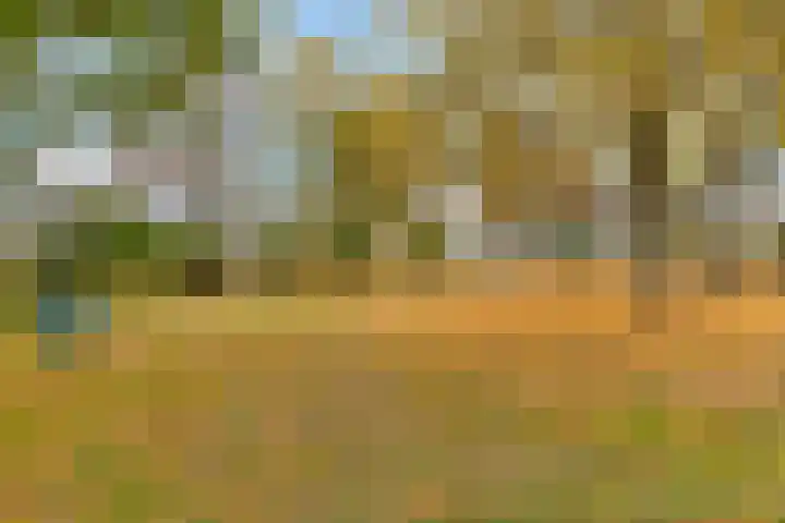 Bizetlaan 13 Nijkerk thumbnail 27