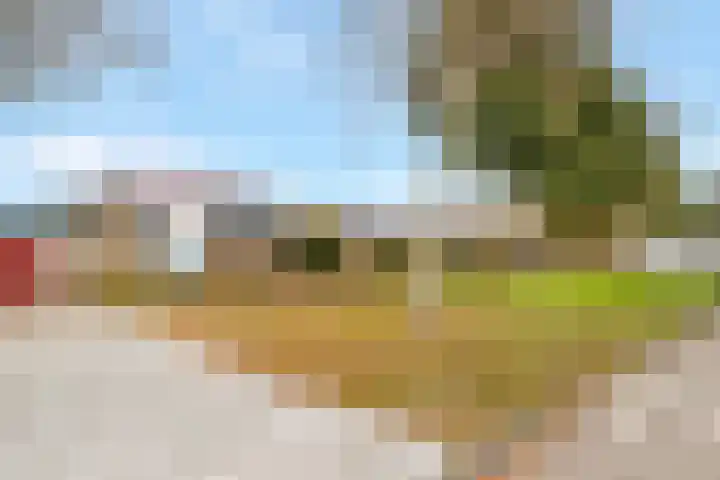 Bizetlaan 13 Nijkerk thumbnail 28
