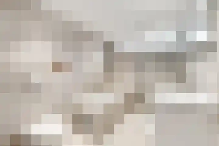 Bizetlaan 13 Nijkerk thumbnail 4