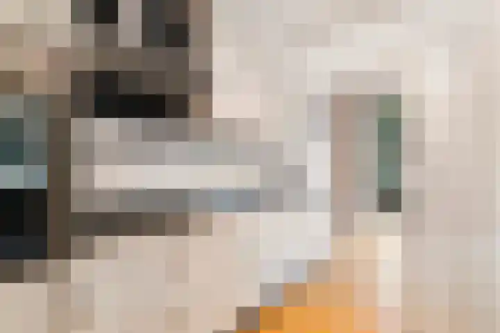 Bizetlaan 13 Rotterdam thumbnail 10
