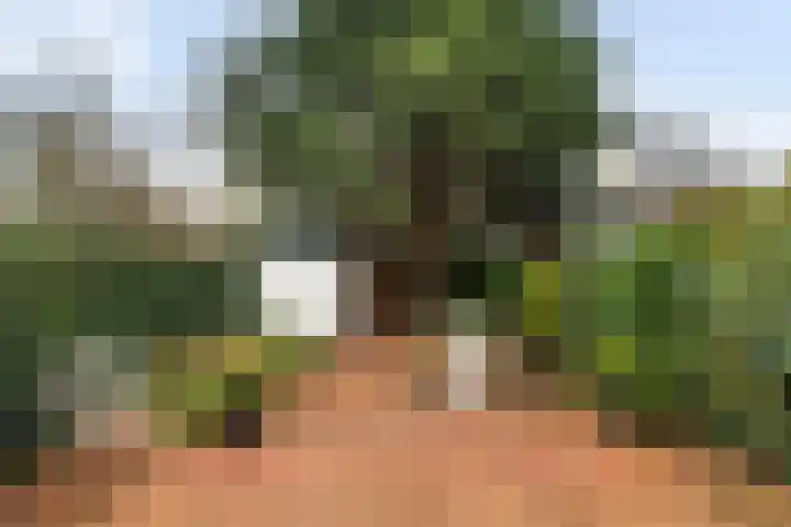 Bizetlaan 13 Rotterdam thumbnail 17