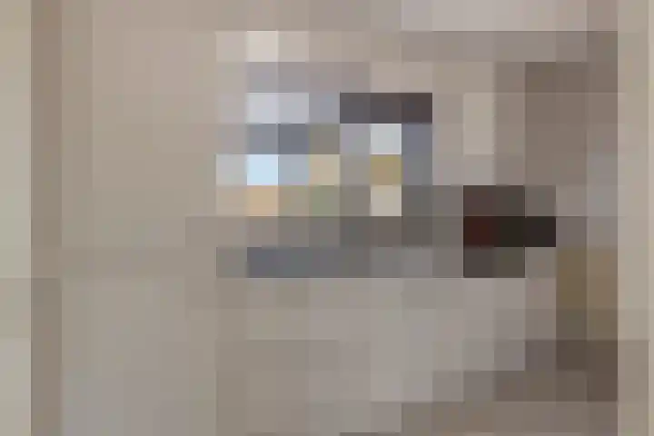 Bizetlaan 13 Vlissingen thumbnail 10