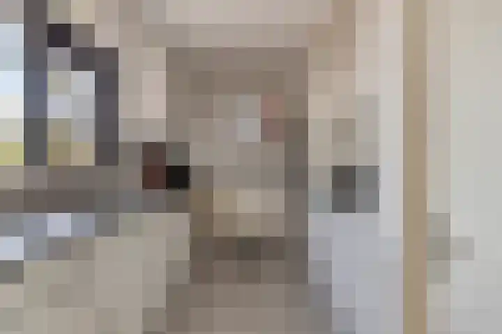 Bizetlaan 13 Vlissingen thumbnail 11