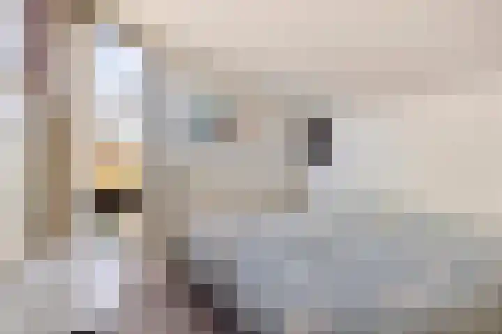 Bizetlaan 13 Vlissingen thumbnail 21