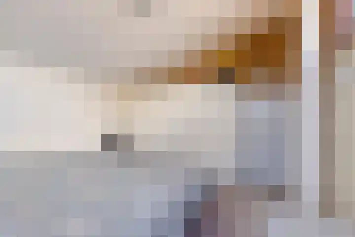 Bizetlaan 13 Vlissingen thumbnail 22