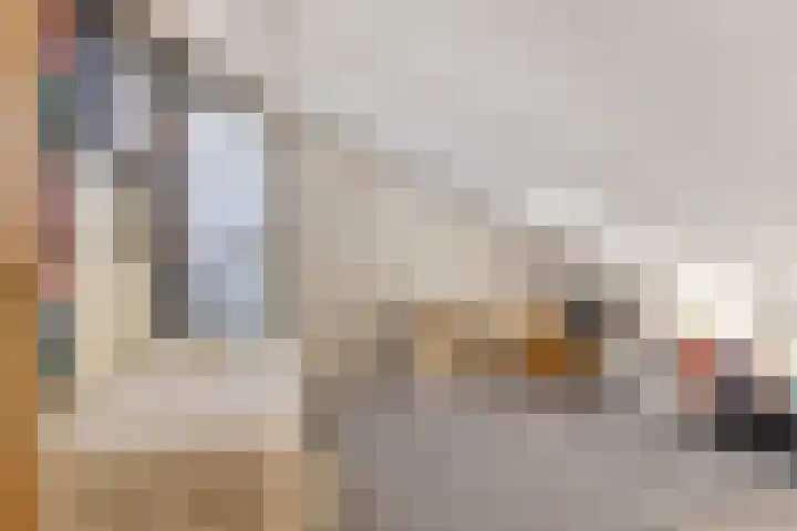 Bizetlaan 13 Vlissingen thumbnail 23
