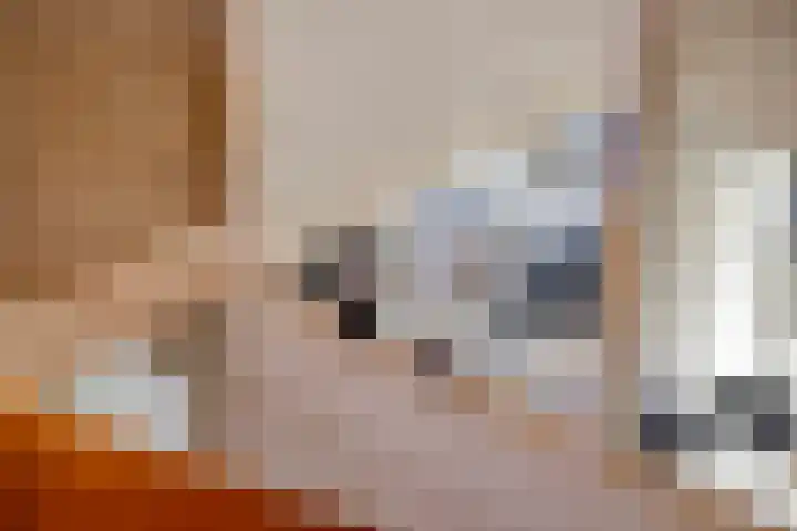 Bizetlaan 13 Vlissingen thumbnail 26