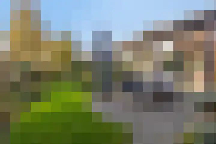 Bizetlaan 13 Vlissingen thumbnail 28