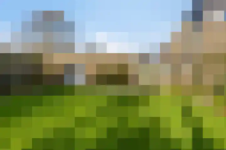 Bizetlaan 13 Vlissingen thumbnail 30