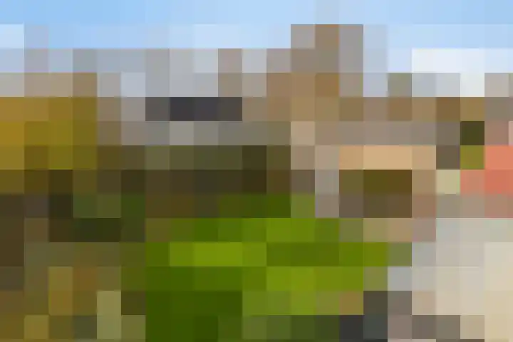 Bizetlaan 13 Vlissingen thumbnail 31