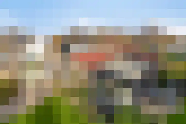 Bizetlaan 13 Vlissingen thumbnail 32