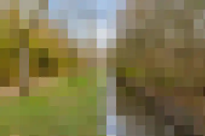 Bizetlaan 13 Vlissingen thumbnail 39