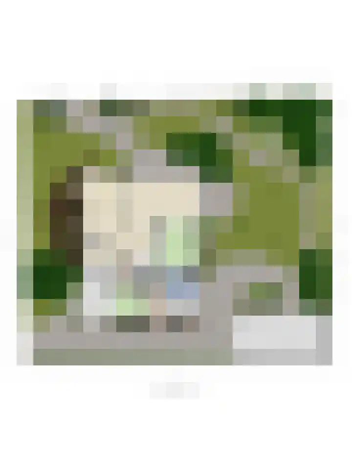Bizetlaan 13 Vlissingen thumbnail 40