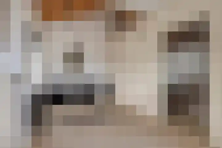 Bizetlaan 13 Vlissingen thumbnail 7