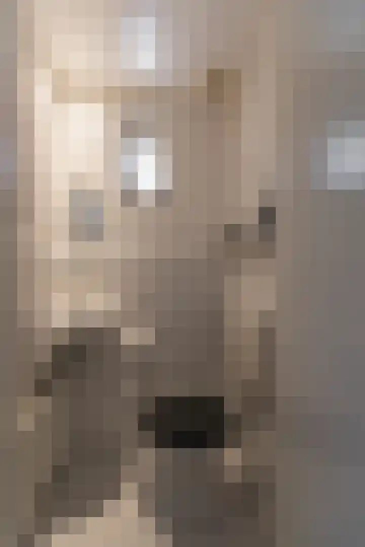 Bizetlaan 14 Doetinchem thumbnail 13