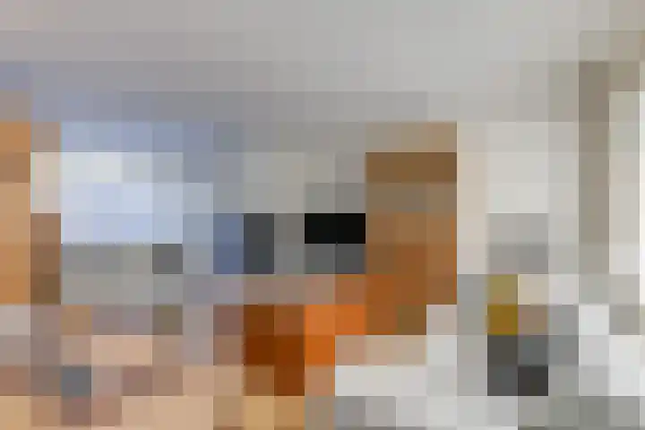 Bizetlaan 14 Doetinchem thumbnail 17