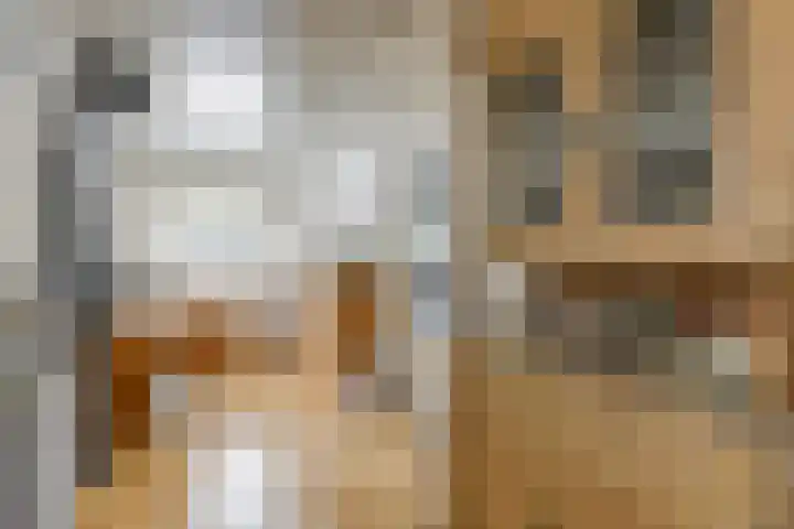 Bizetlaan 14 Doetinchem thumbnail 22