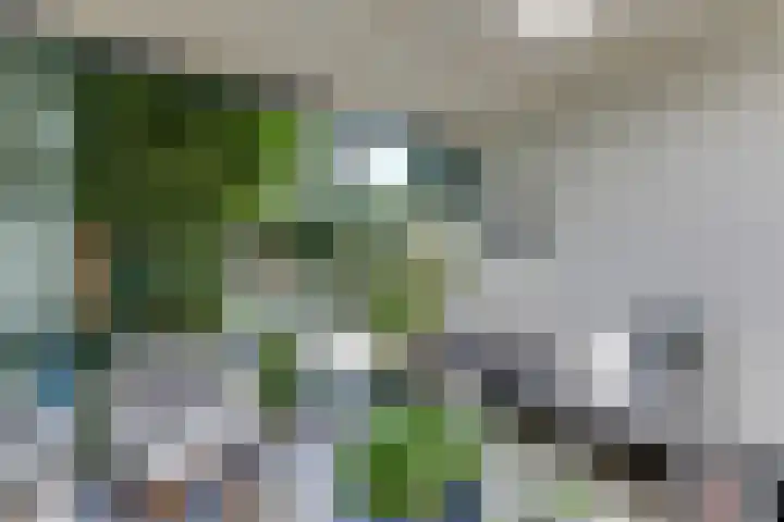 Bizetlaan 14 Doetinchem thumbnail 30