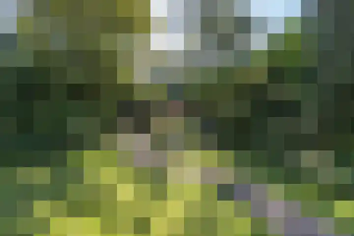 Bizetlaan 14 Doetinchem thumbnail 35