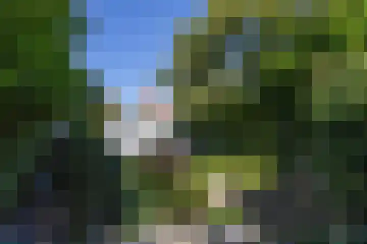 Bizetlaan 14 Doetinchem thumbnail 36