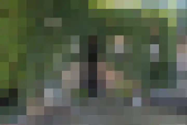 Bizetlaan 14 Doetinchem thumbnail 39