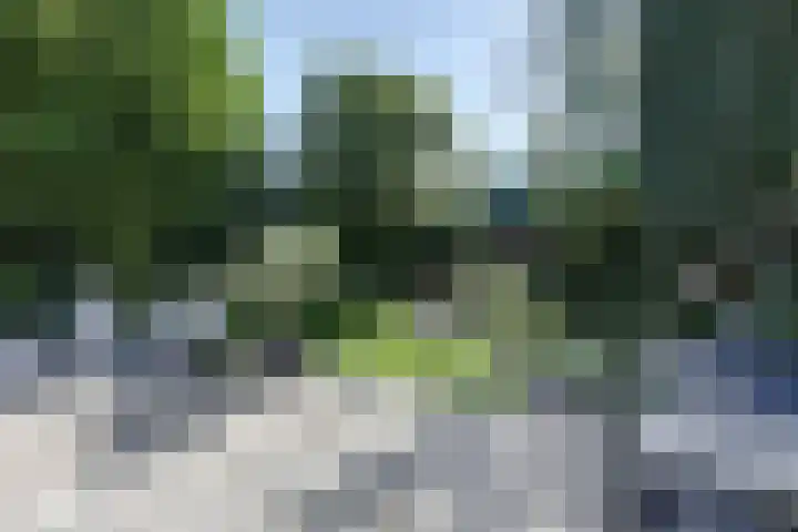 Bizetlaan 14 Doetinchem thumbnail 4