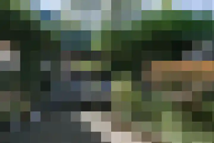 Bizetlaan 14 Doetinchem thumbnail 40
