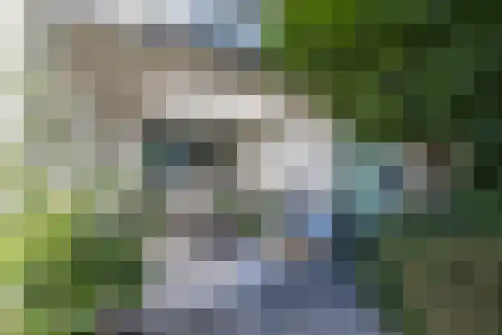 Bizetlaan 14 Doetinchem thumbnail 43