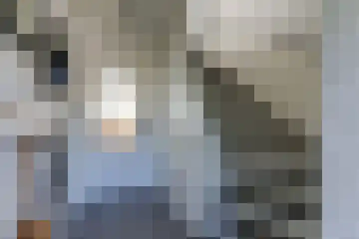 Bizetlaan 14 Doetinchem thumbnail 45