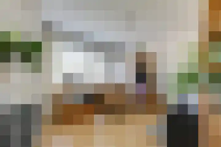 Bizetlaan 14 Doetinchem thumbnail 49