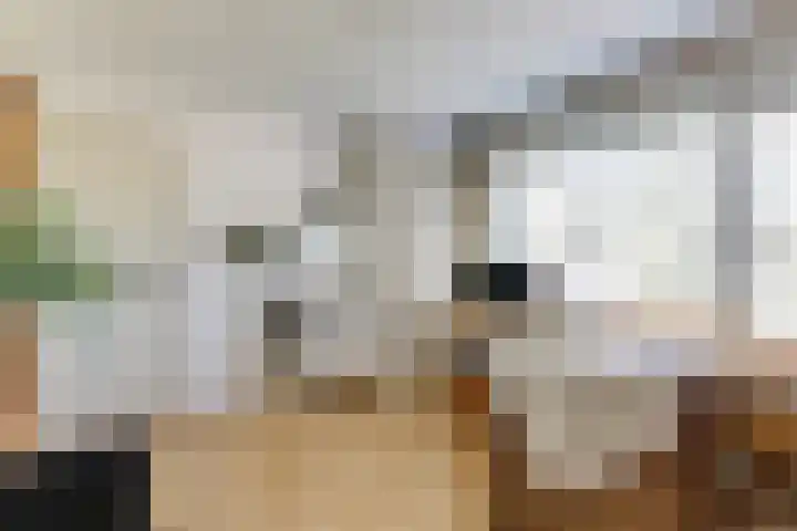 Bizetlaan 14 Doetinchem thumbnail 50