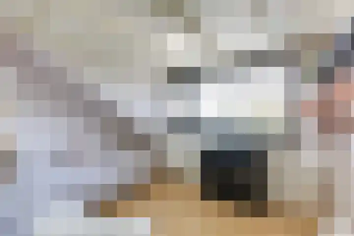 Bizetlaan 14 Doetinchem thumbnail 56