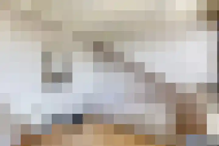 Bizetlaan 14 Doetinchem thumbnail 57