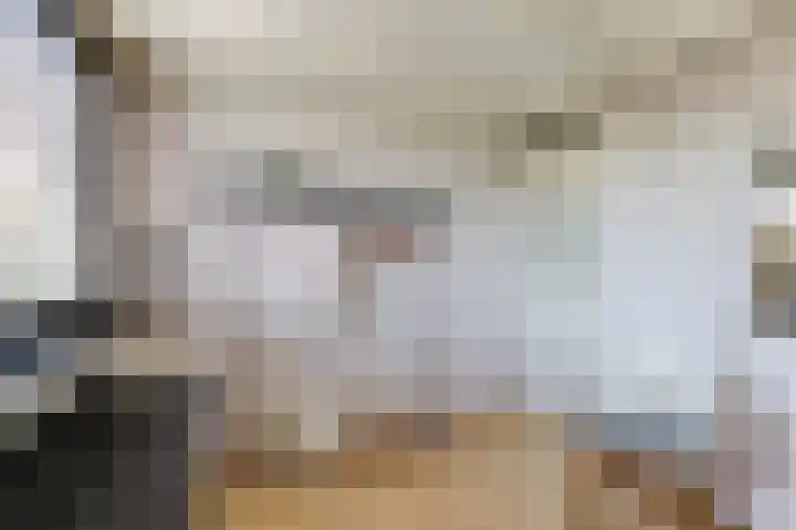 Bizetlaan 14 Doetinchem thumbnail 58