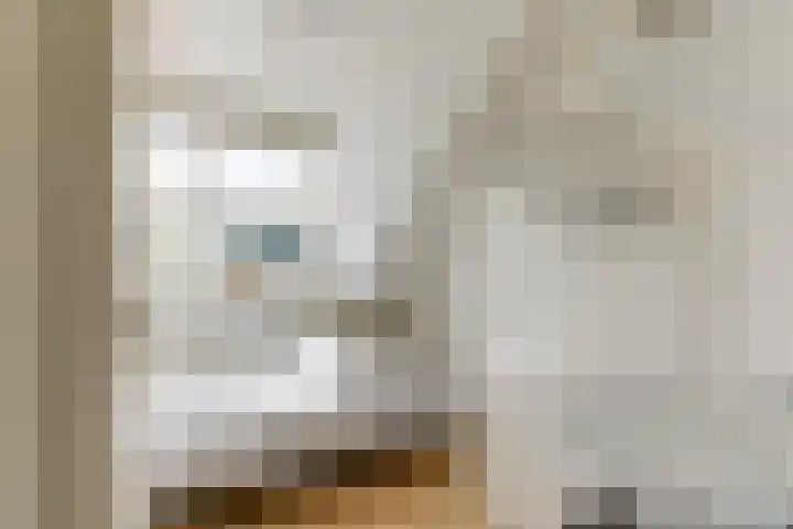 Bizetlaan 14 Doetinchem thumbnail 59