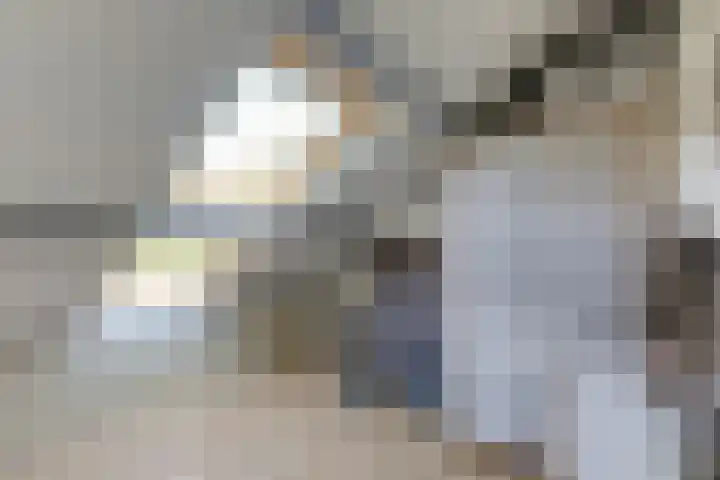 Bizetlaan 14 Doetinchem thumbnail 60