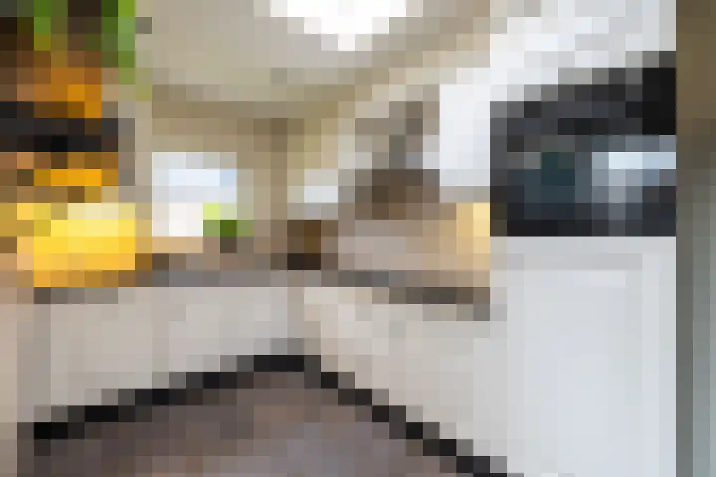 Bizetlaan 2 Doetinchem thumbnail 11